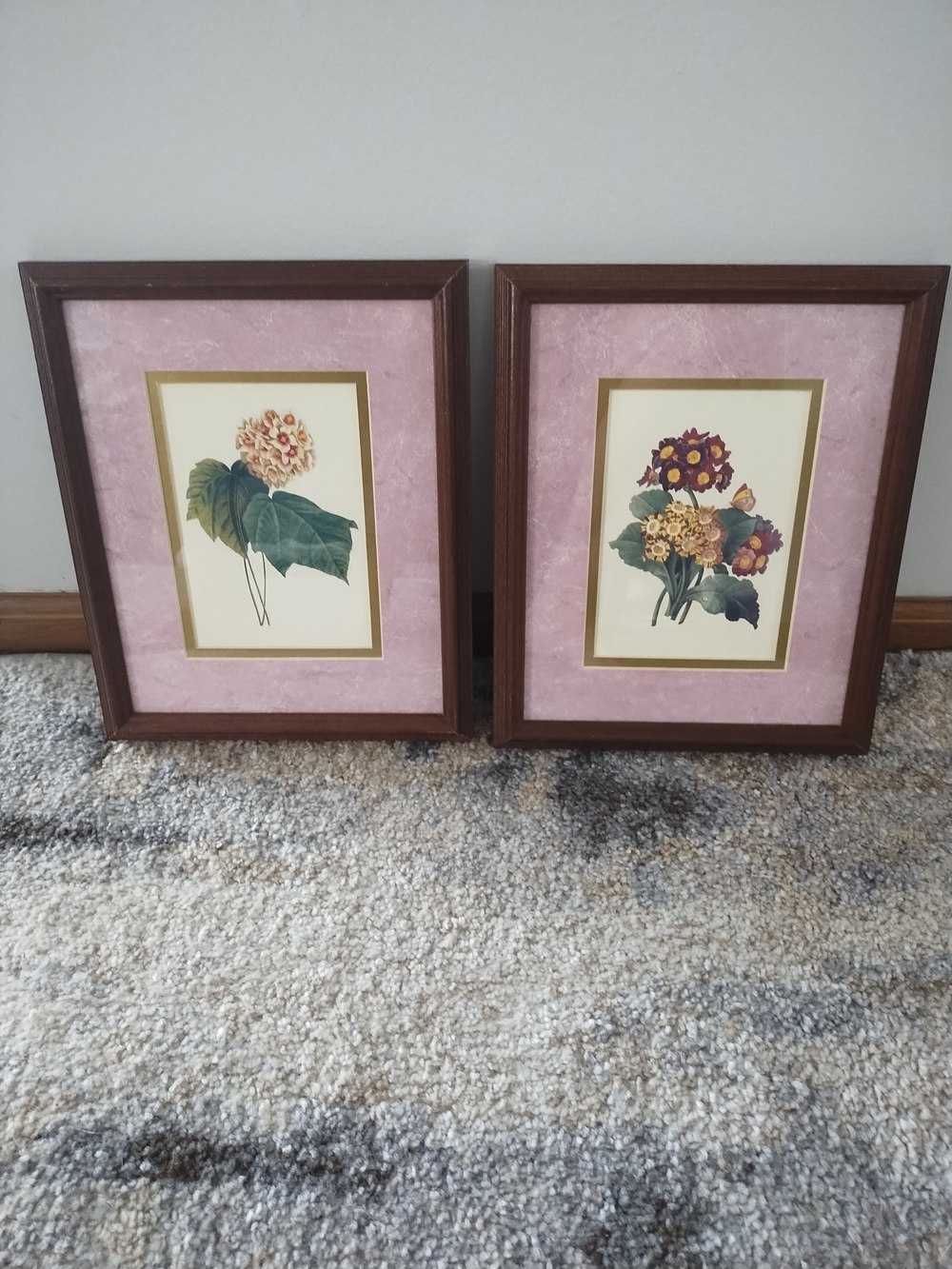 Framed Botanical Prints - Pink Mat, Wood Frames (Pair)